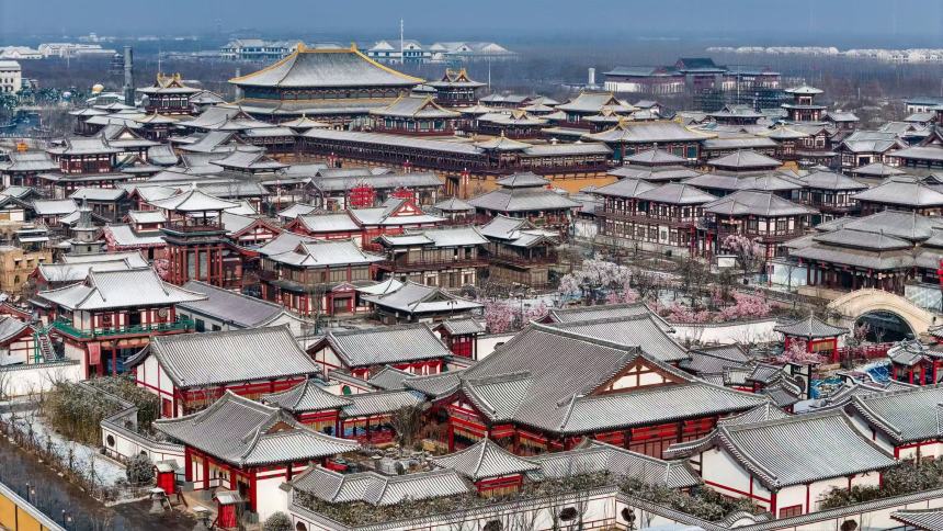 山東樂陵：雪落棗城美如畫