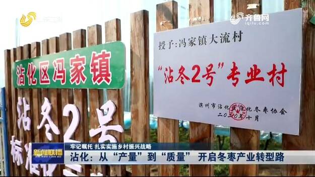 從“産量”到“品質” 濱州沾化開啟冬棗産業轉型之路