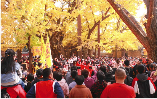 “冬遊齊魯·陽光日照”惠民季啟動