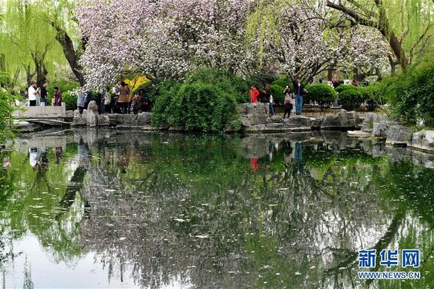 山東濟南：樂享好春光