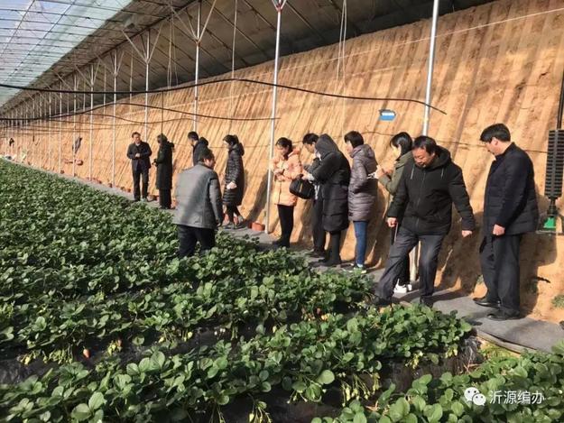 山東沂源開展“扶貧互聯共建促發展“活動
