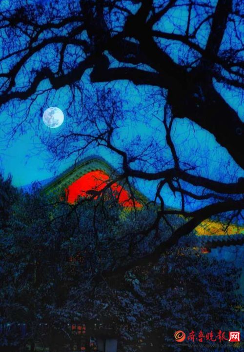 燈火璀璨，濟南黑虎泉畔夜色撩人
