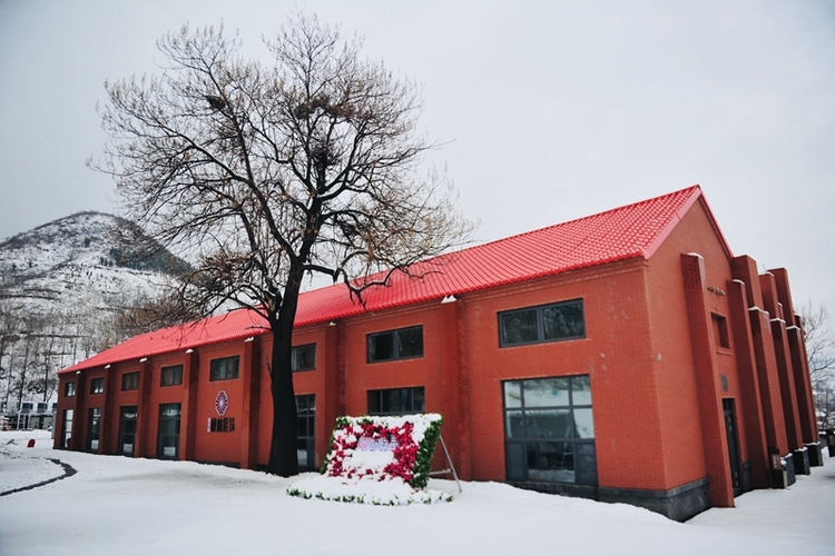（有修改）【急稿】【客戶供稿】正月十五雪打燈！袁洪峪·楸林雅築上演絕美大片