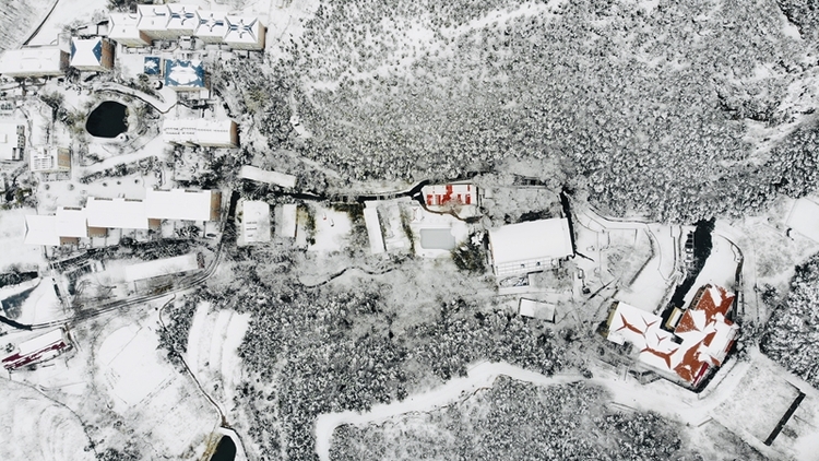（有修改）【急稿】【客戶供稿】正月十五雪打燈！袁洪峪·楸林雅築上演絕美大片