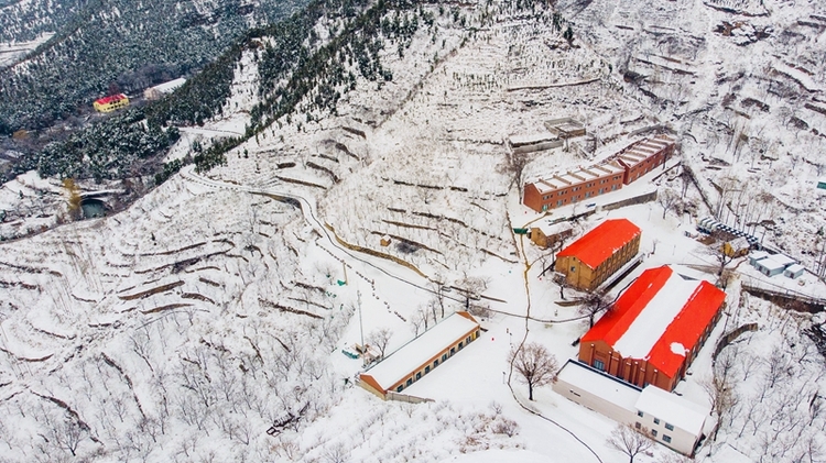 （有修改）【急稿】【客戶供稿】正月十五雪打燈！袁洪峪·楸林雅築上演絕美大片