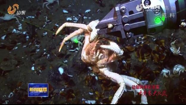 青島西海岸新區：經略海洋 打造海洋強國戰略新支點