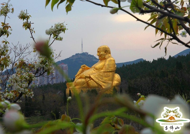 泉城濟南的另一標誌性景觀 從千佛山到佛慧山