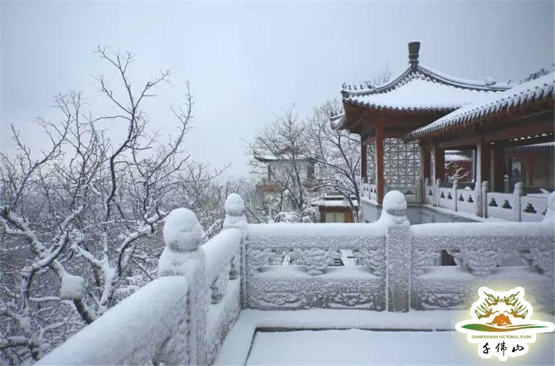 泉城濟南的另一標誌性景觀 從千佛山到佛慧山