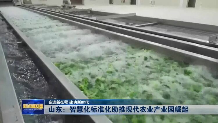 山東：智慧化標準化助推現代農業産業園崛起