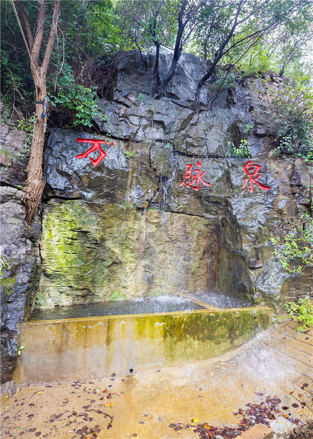 山東好景｜濟南深山裏的“泉水村莊”