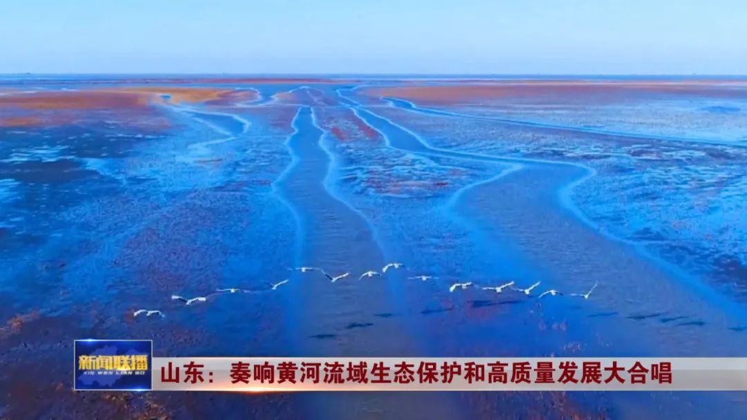 山東：奏響黃河流域生態保護和高品質發展大合唱
