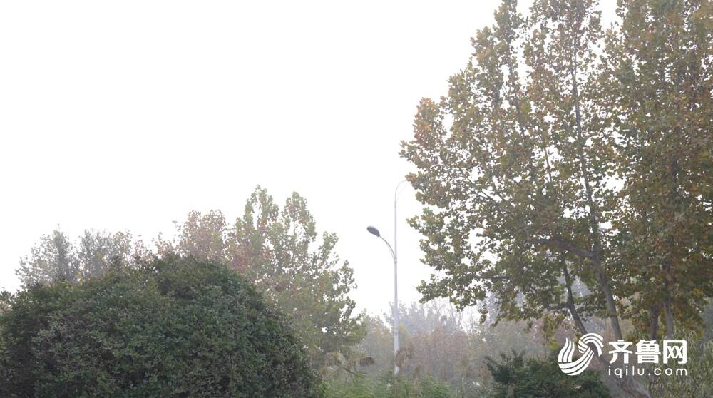 最低氣溫降至3℃+霜凍！弱冷空氣未來幾天頻繁影響山東 氣溫將波動下降