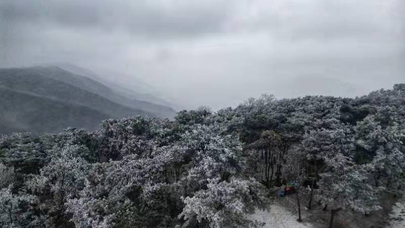 【原創】濟南市跑馬嶺景區霧凇沆碭，冰花瀰漫_fororder_2