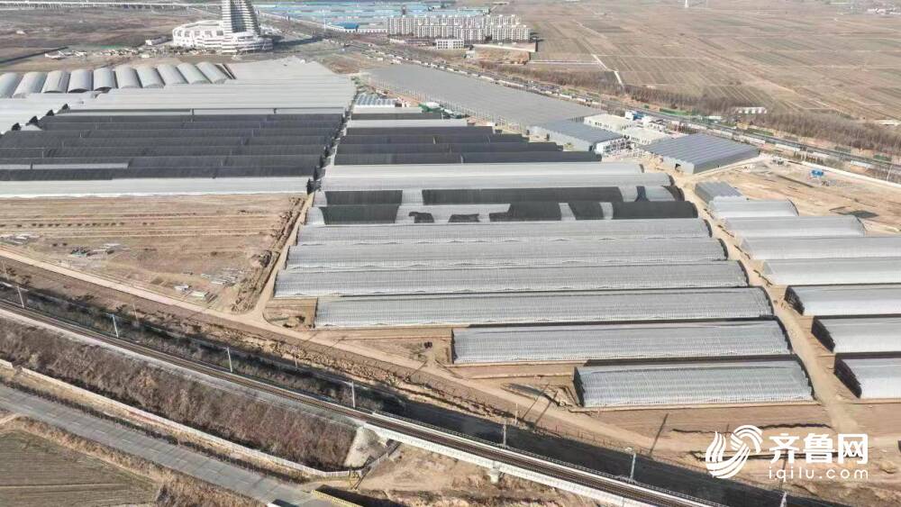 開年即衝刺 勤奮生齊魯 ！山東重點項目建設不停歇
