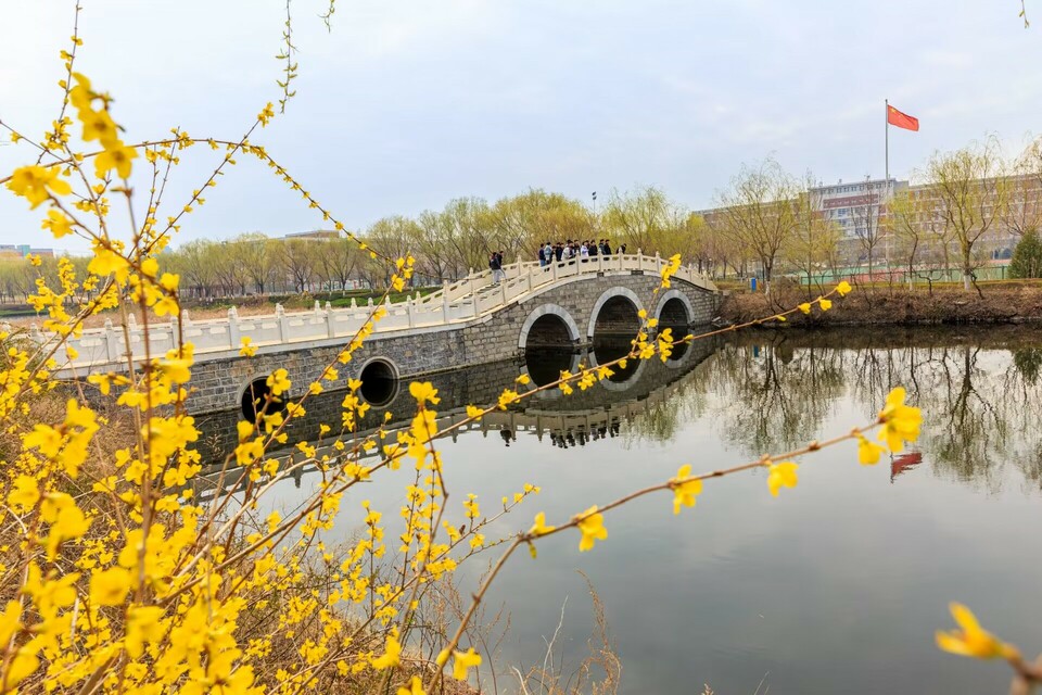 山東淄博：校園春花燦爛 學子推介學校