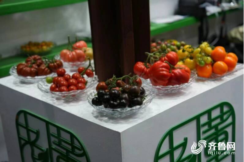 菜博會本土番茄引關注 在全國二十多個省份迅速落地