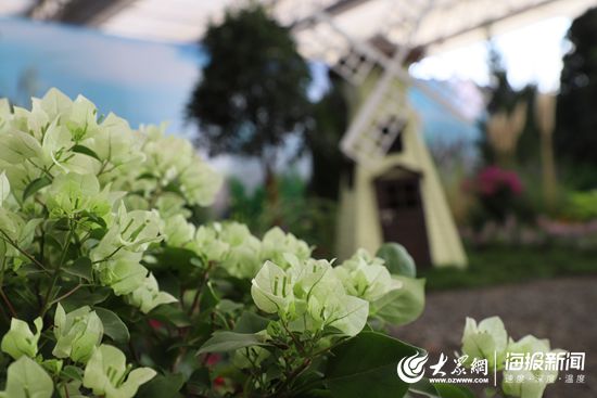 第五屆濟南花卉園藝博覽會暨第二屆濟南都市農産品博覽會在商河開幕