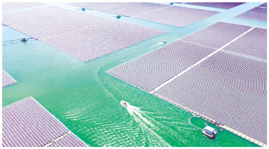 全省最高！德州新能源發電量佔全社會用電量的55.6%
