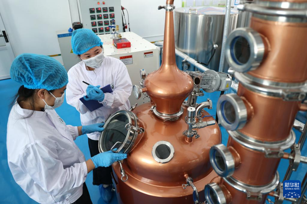 山東樂陵：科技創新助力産業轉型升級_fororder_4