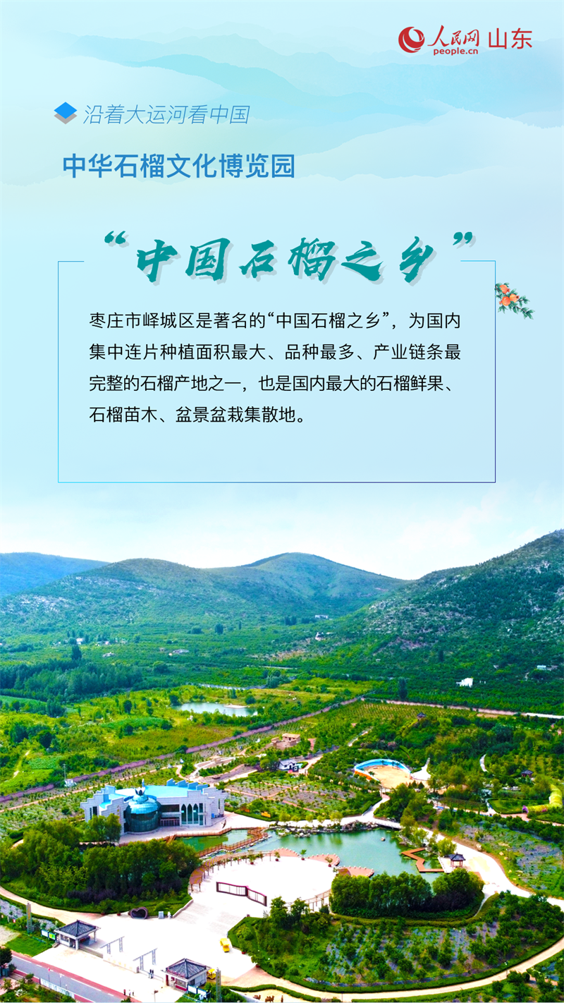 沿著大運河看中國|山東棗莊:讓運河文化“活”起來