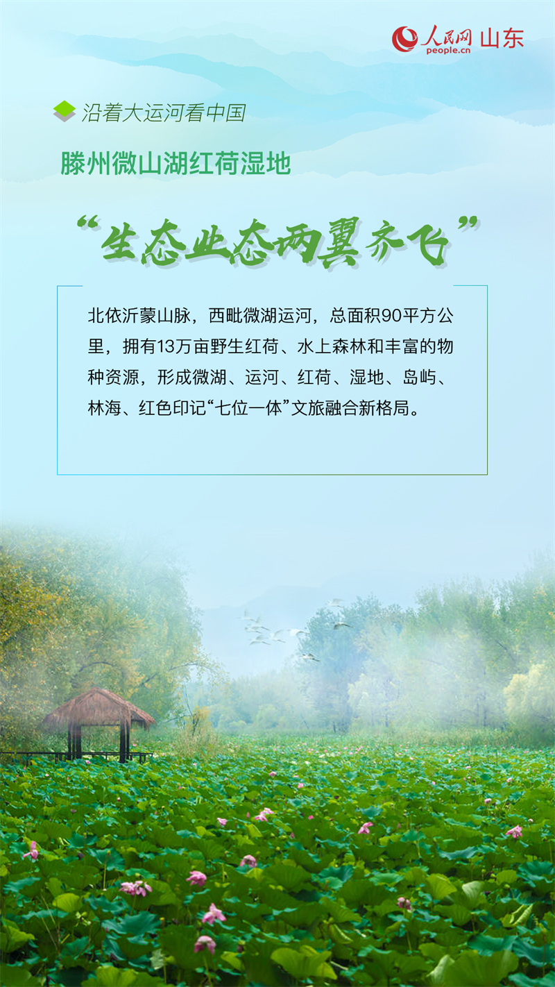 沿著大運河看中國|山東棗莊:讓運河文化“活”起來
