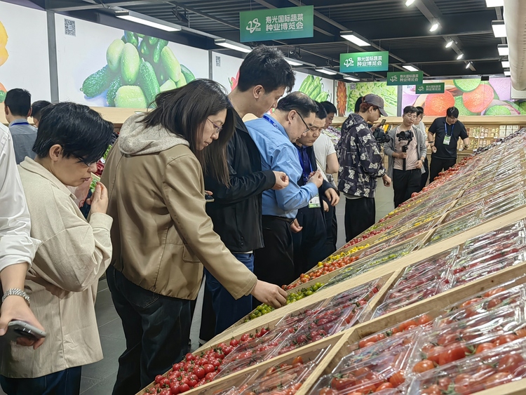 “百家媒體菜鄉行”啟動暨“逐綠中國”媒體見面會濰坊壽光舉行_fororder_f03f4adde53ccec0ade8d8723427807