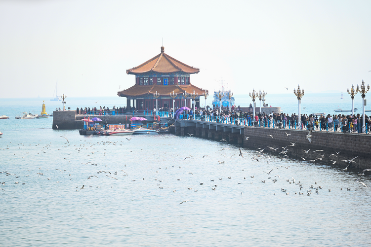 “山海之約·交換春天”網絡大V采風走進百年中山路和青啤博物館_fororder_圖片2