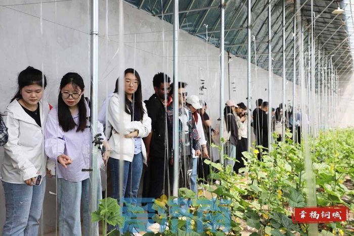 濟南鋼城區：桃花源裏引來“洋朋友”