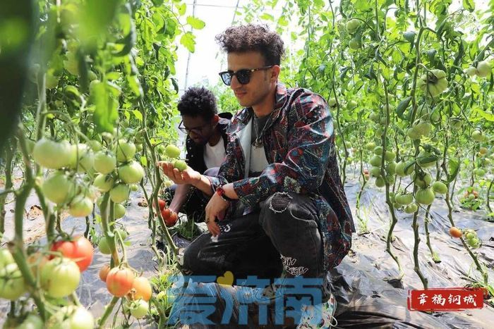 濟南鋼城區：桃花源裏引來“洋朋友”