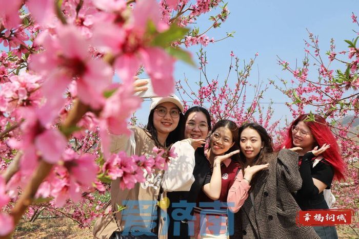 濟南鋼城區：桃花源裏引來“洋朋友”