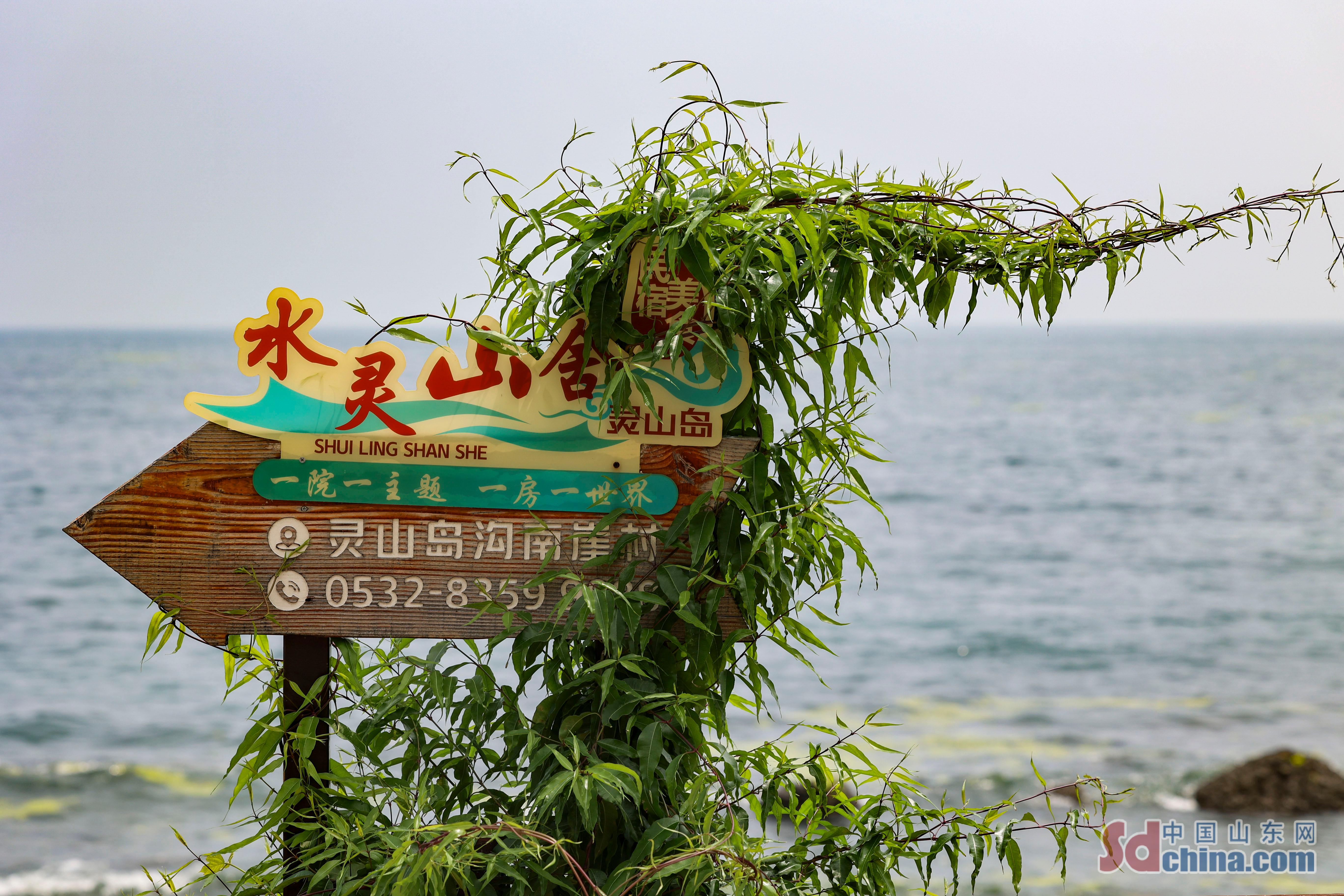 “文化+民宿” 青島以特色旅遊吸引遊客