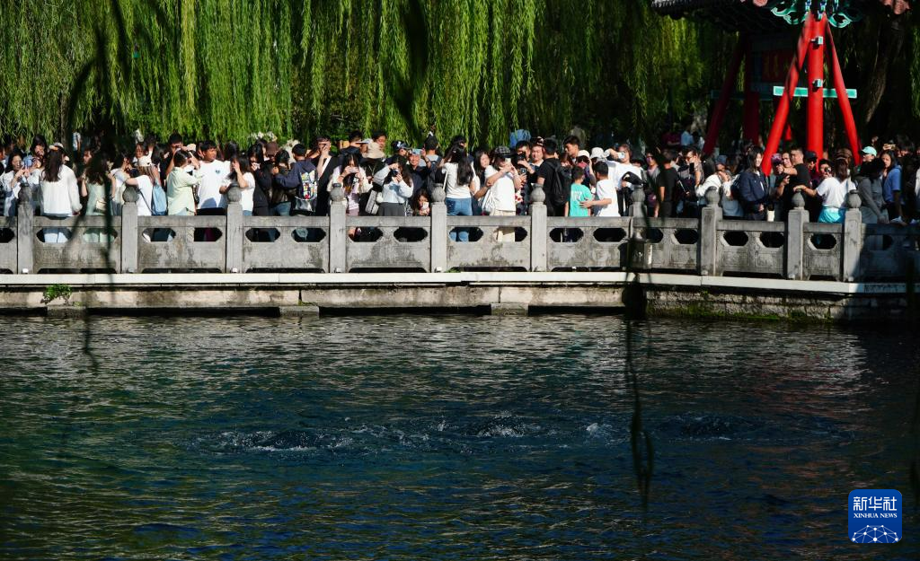 濟南：中秋小長假觀泉旅遊人氣旺_fororder_2