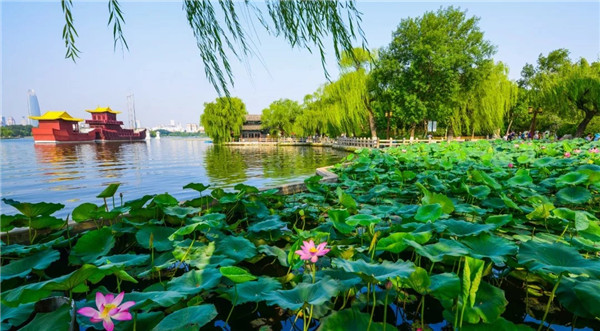 濟南：一座現代化醫養名城正崛起成峰