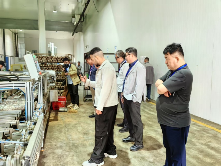 【Hi,Shandong】“Hi,Shandong—機遇中國 青島優品”海外媒體青島行活動探秘萊西食用菌産業，見證鄉村振興的力量_fororder_380dce7227217bef9465678bd17023b