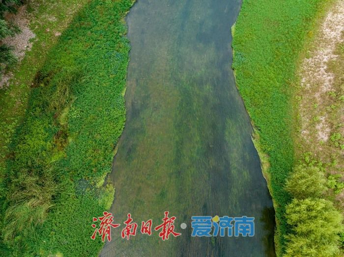 初秋濟南玉符河畔：水清草盛景如畫