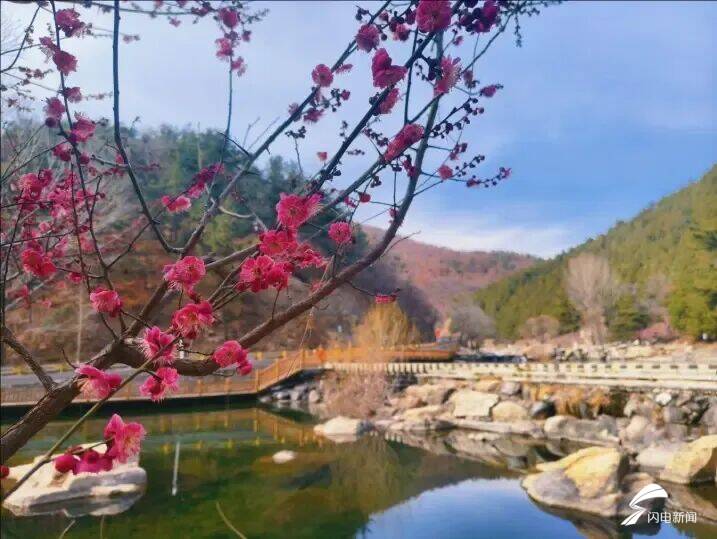山東泰安：春到彩石溪 花開醉春風
