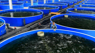 山東鄆城：以産業興旺助推鄉村振興