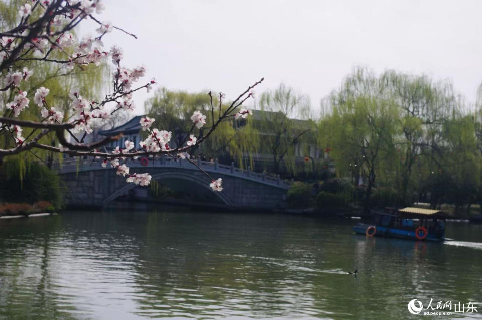 春染明湖 繁花入畫_fororder_003