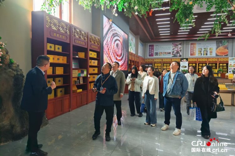 沿著黃河遇見海,感受“幸福河”的魅力與新生