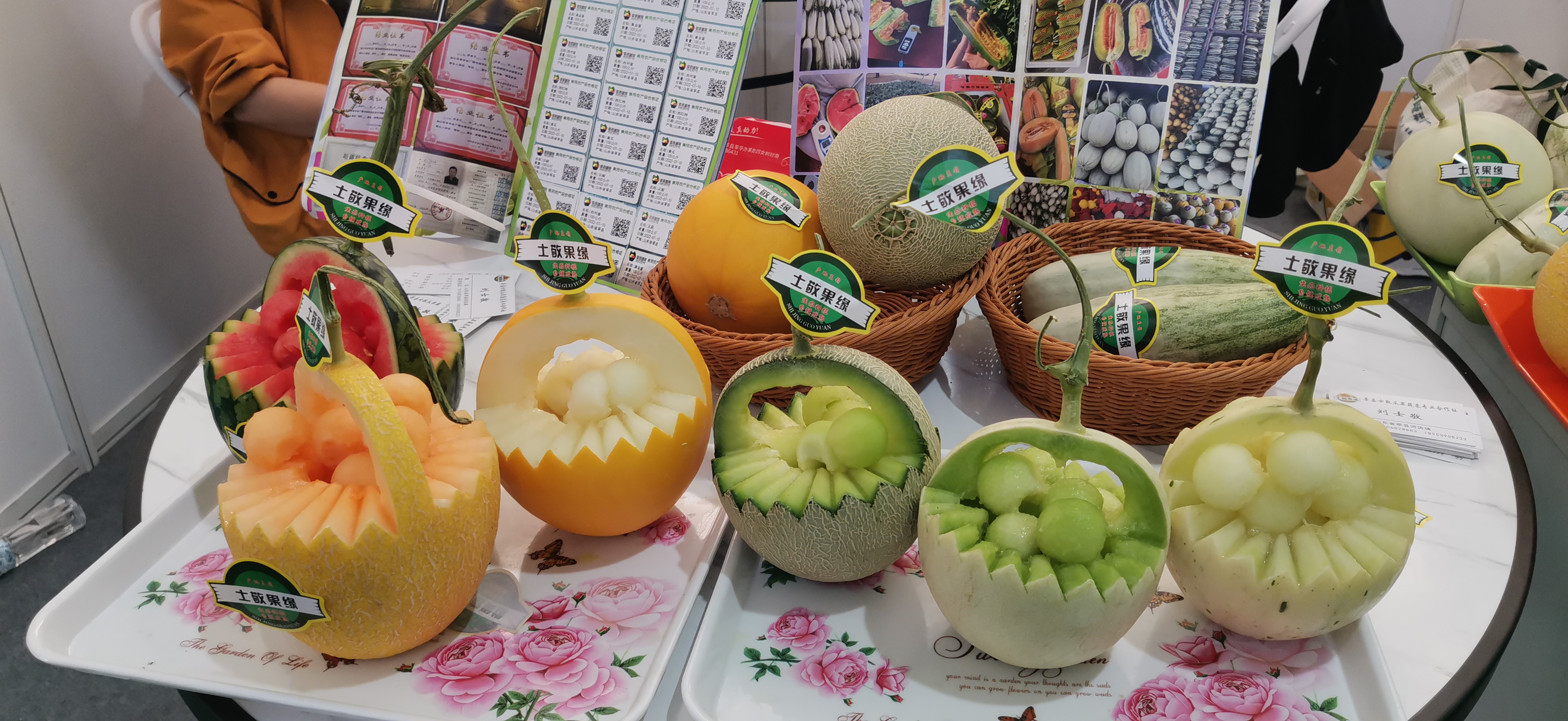 以菜興業，共譜鄉村振興新篇章——第十三屆綠色瓜菜菌博覽會（莘縣）開幕_fororder_微信圖片_20250415135225
