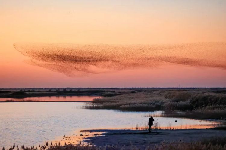 東營“新春第一會”:以實幹破局産業轉型