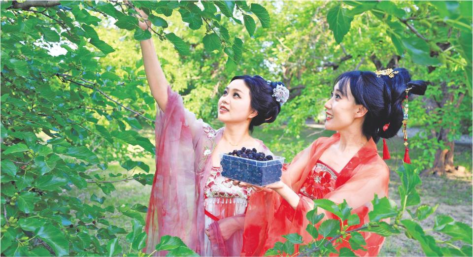 濱州：鄉村生態美旅遊熱力足