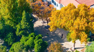 百年園林景如畫：濟南中山公園開啟最美賞葉季