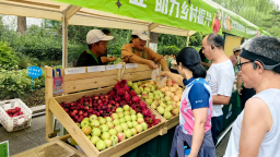 濟南“泉果飄香” 打造農文旅融合新引擎