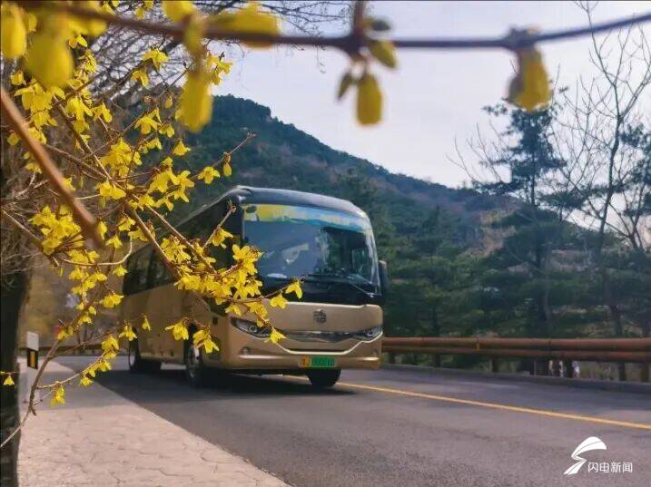 山東泰安：春到彩石溪 花開醉春風
