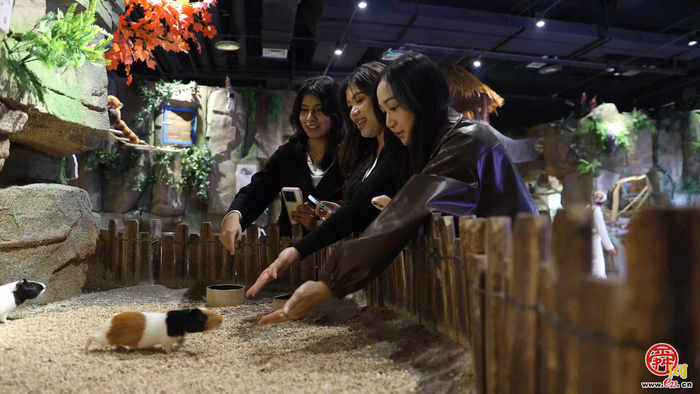 外眼看濟南 | 當“鵲華秋色”遇見未來之城