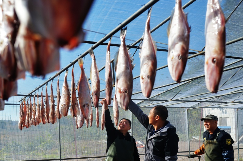 山東青島:金風送爽晾曬忙