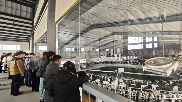 “漢語橋”教育工作者訪華團走進濟南歷城_fororder_圖片1