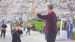 煙臺：賞花踏青需求旺 文旅市場人氣足