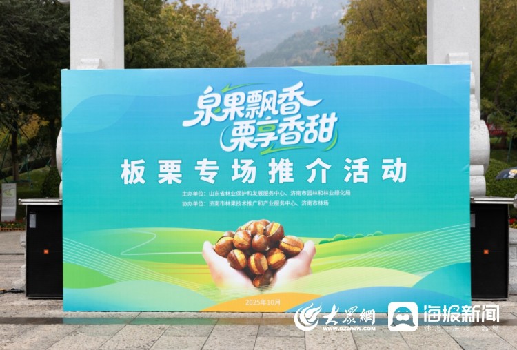 金秋栗香濃,産業促振興,“泉果飄香 栗享香甜”板栗專場推介活動成功舉辦